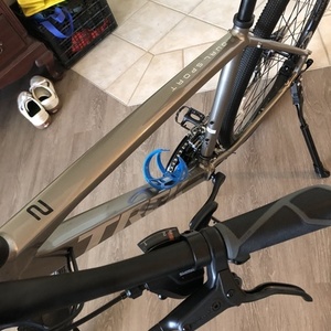 2020 Trek Dual Sport 2 L Silver, gray or bare metal