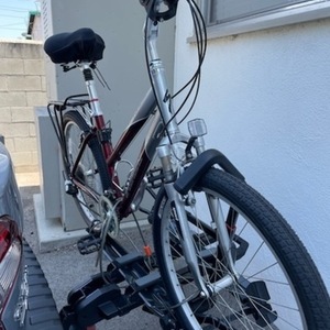 Specialized Red and Silver, gray or bare metal