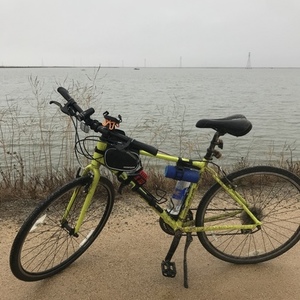 2017 Giant Escape 2 Hybrid Green