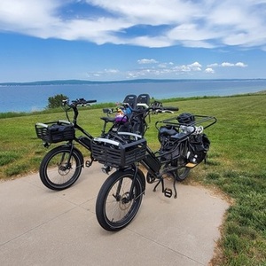 2020 Rad Power Bikes Radwagon 4 Black