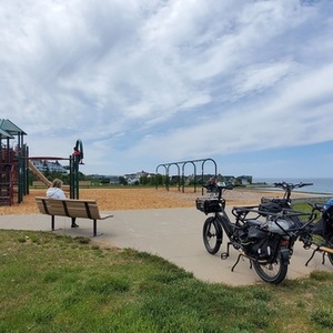 2020 Rad Power Bikes Radwagon 4 Black