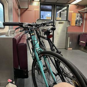 2016 Trek 7.3 FX Green