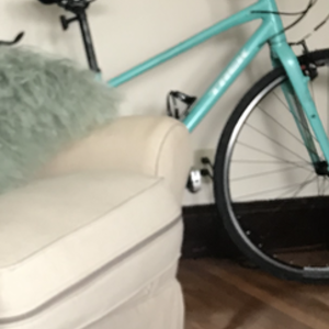 2016 Trek 7.3 FX Green