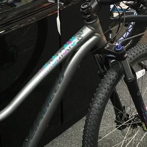 2016 Specialized Jynx 650b Silver, gray or bare metal