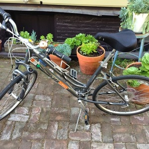 Giant Silver, gray or bare metal