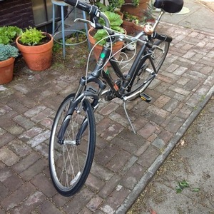 Giant Silver, gray or bare metal