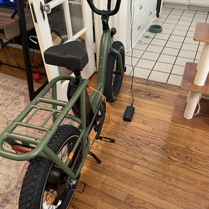 2022 Rad Power Bikes RadRunner2 Green