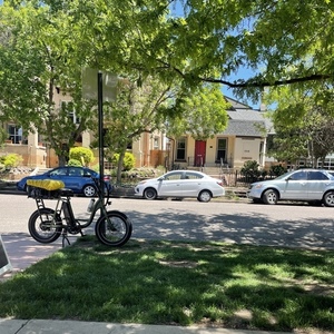 2022 Rad Power Bikes RadRunner2 Green