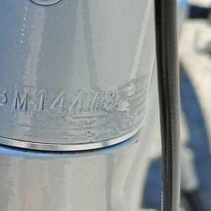 2021 FLX Babymaker Silver, gray or bare metal