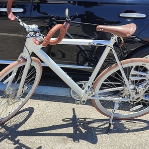 2021 FLX Babymaker Silver, gray or bare metal