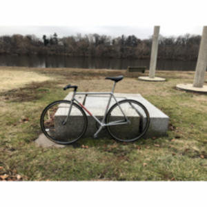 Dreesens Fixed Gear Silver, gray or bare metal