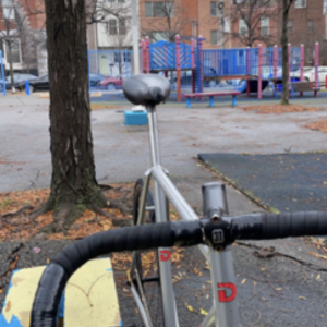 Dreesens Fixed Gear Silver, gray or bare metal