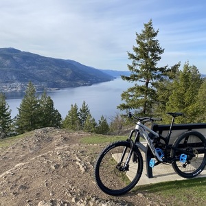 2021 Canyon bicycles Spectral Silver, gray or bare metal