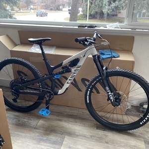 2021 Canyon bicycles Spectral Silver, gray or bare metal