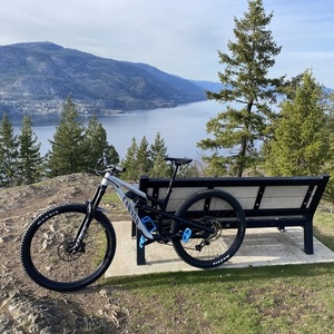 2021 Canyon bicycles Spectral Silver, gray or bare metal