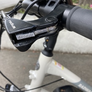 2021 Rad Power Bikes RadWagon 4 White