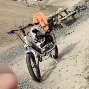 2021 Rad Power Bikes RadWagon 4 White