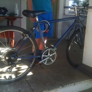 Schwinn Blue