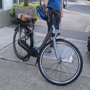 2020 Gazelle Arroyo Silver, gray or bare metal