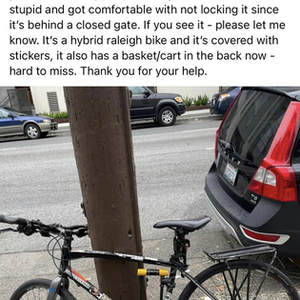 Raleigh Hybrid Black