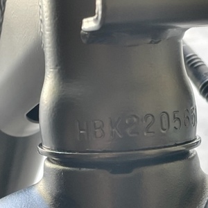 2022 heybike Cityscape Black