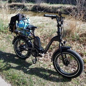 2022 Rad Power Bikes RadExpand 5 Electric Folding Bike Black