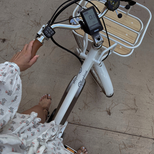 2021 Bluejay Bikes Premiere Edition E-Bike White