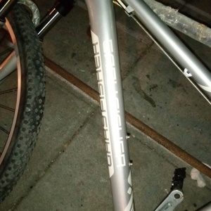 2021 Gary Fisher Codina Silver, gray or bare metal