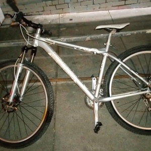 2021 Gary Fisher Codina Silver, gray or bare metal