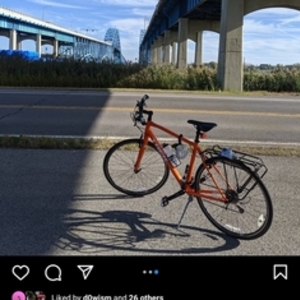 2016 Trek 7.4 Fx Orange