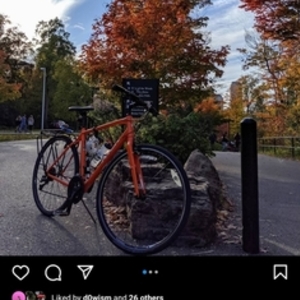 2016 Trek 7.4 Fx Orange