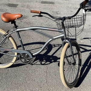 Retrospec Chatham cruiser Silver, gray or bare metal