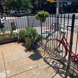 1975 Schwinn cruiser Red