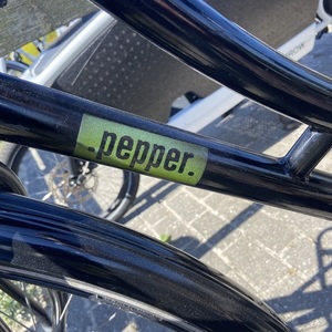 Dutch flavor pepper Dutch flavor pepper Black