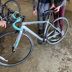 2017 Bianchi Nirone Dama Sora 50cm Silver, gray or bare metal