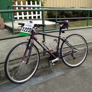 2012 Specialized Vita Elite Purple