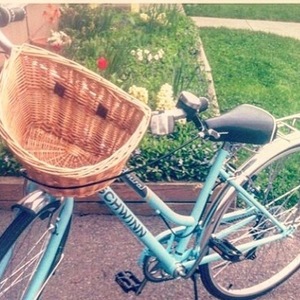 Schwinn Admiral Blue