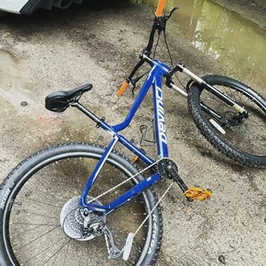 2021 Devinci Altus Blackbird 9s Blue