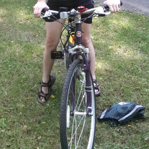 Schwinn Purple
