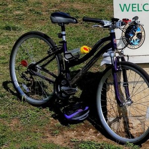 Schwinn Purple