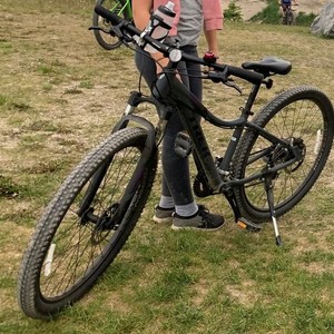 2018 Trek WM Skye S Silver, gray or bare metal