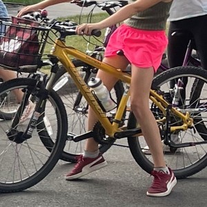 2006 Devinci Mission XS Yellow or Gold