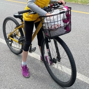 2006 Devinci Mission XS Yellow or Gold