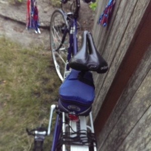 1986 Miyata TriplecRoss Blue