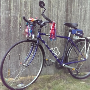 1986 Miyata TriplecRoss Blue