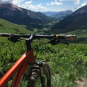 Salsa Spearfish Orange