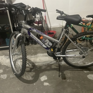 2021 Supercycle SC1800 Silver, gray or bare metal, Purple, and White