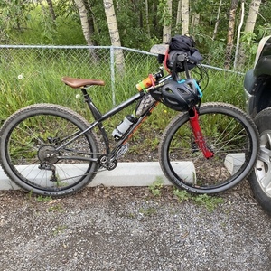 2019 Kona Honzo st 30th anniversary Silver, gray or bare metal