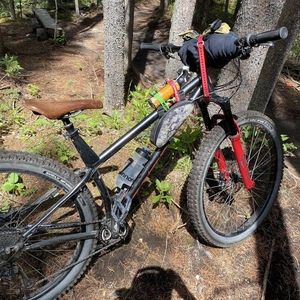 2019 Kona Honzo st 30th anniversary Silver, gray or bare metal