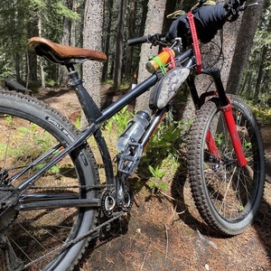 2019 Kona Honzo st 30th anniversary Silver, gray or bare metal